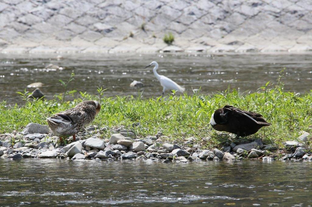 Kamogawa Nanajo Villa Kyoto Bagian luar foto